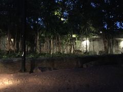 -清迈夜间动物园