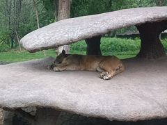 -北京野生动物园