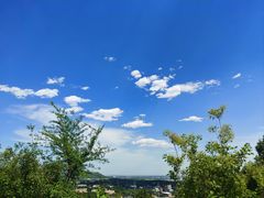 -白水寺森林公园