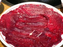 爽口嫩肉-汕头八合里海记牛肉店(清河店)