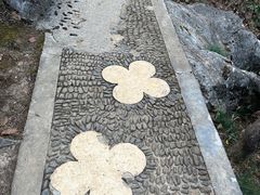 -千岛湖东南湖区