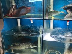 水产区-鑫悦楼煎蟹·16年海鲜大排档