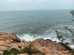 -广东惠东海龟国家级自然保护区