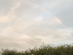 -阿香米线(中原万达店)