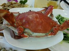 android_upload_pic-海岛渔村大酒店(云霄路店)