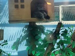 -青藏高原野生动物园