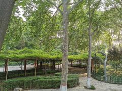 -西安市长乐公园