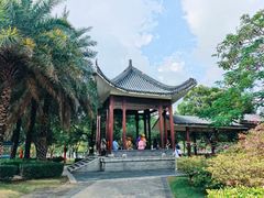 -飞来湖湿地公园