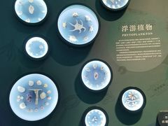 -中国湿地博物馆