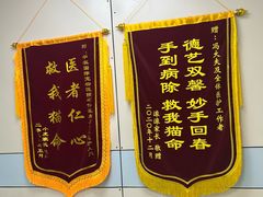 -中农国际动物医院24小时·猫科·骨科·急重症中心