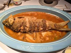 -阿五黄河大鲤鱼(英协路店)