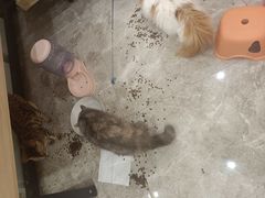 -东方之珠洗浴休闲广场(南开店)