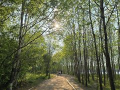 -长春市南湖公园