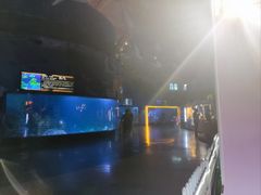 -烟台海昌鲸鲨海洋公园