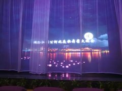 -澜沧江湄公河之夜歌舞篝火晚会