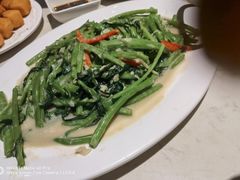 椒丝腐乳炒空心菜-肥仔文澳门猪骨煲(南京西路店)