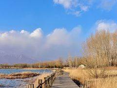 -野鸭湖国家湿地公园