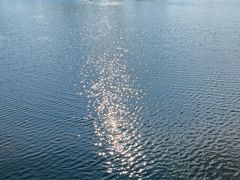 -洋湖国家湿地公园