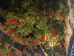 -德云居