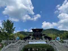-大唐贡茶院