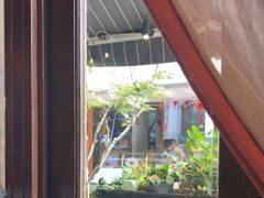 -翡翠鸟精品泰国菜(北辰财富中心店)