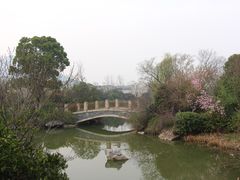 -桃花岛景观公园
