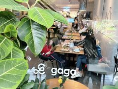 -gaga(深圳南山益田假日广场店)