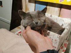 -小时光咖啡馆(开森度假森林店)