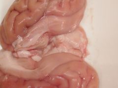 -巴奴毛肚火锅(安阳相州店)