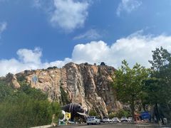 -西霞口神雕山野生动物世界