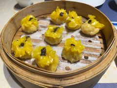 -点都德·毕德寮