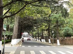 -八大关-近代建筑