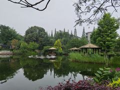 -成飞公园