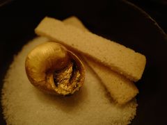 -金蜗牛