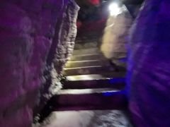 -梦幻奥陶纪景区