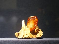 -广东省博物馆