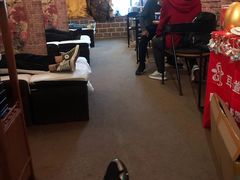 -耳·道古法采耳(高新万达店)