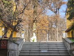 -灵谷景区