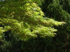 -清晏园