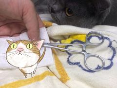 -达爱动物医院·犬猫分区·CT·复杂眼科(远洋山水分院)