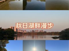-海珠湖公园