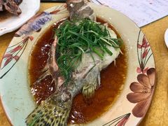 -鸿达渔港