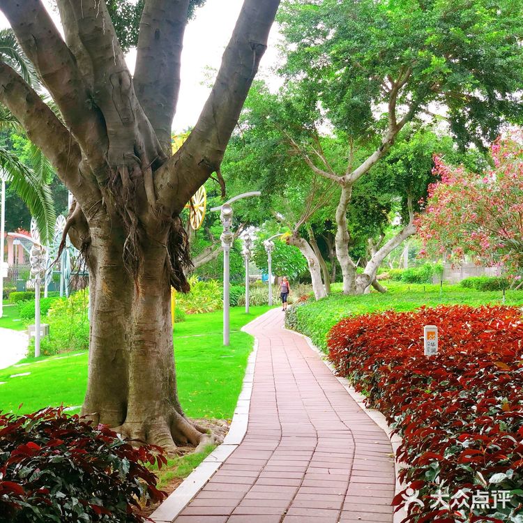 今日份的白鹭洲