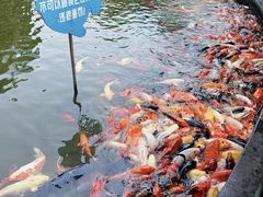 -南昌动物园