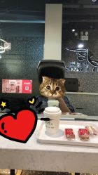 -丝语萱形象