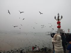 景点-栈桥景区