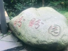 -都江堰中华大熊猫苑