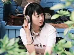 -Hi Fi Acoustic 梵香禅韵·色声香味