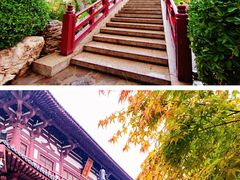 -华清宫景区