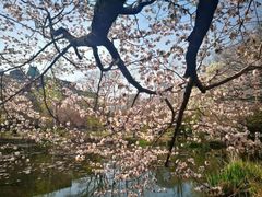 -北海道厅旧本厅舍(旧本庁舎)